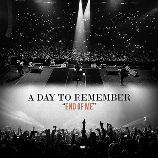 A Day To Remember What Separates Me From You Download